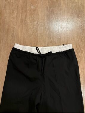 Aritzia Babaton Equity Pant